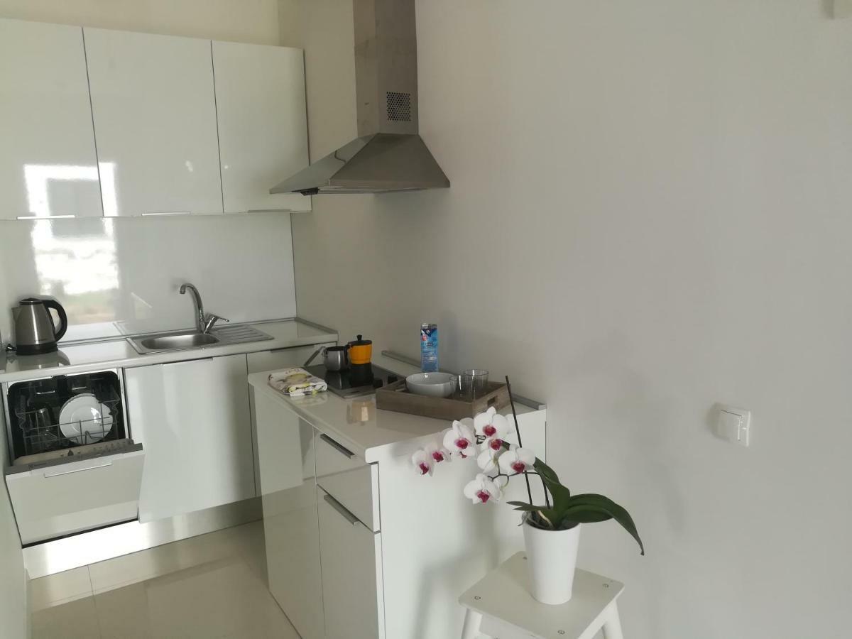 Apartments Mirela Novigrad  Bagian luar foto