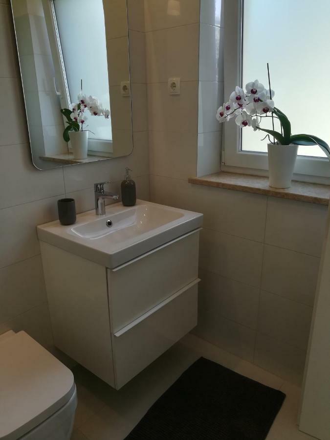 Apartments Mirela Novigrad  Bagian luar foto